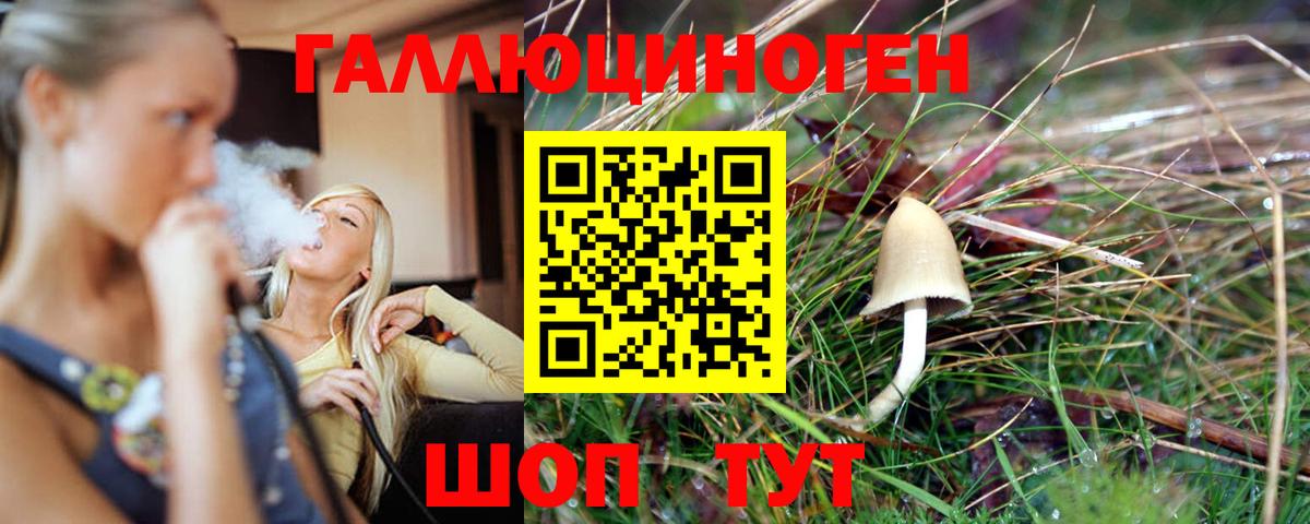 магазин    Вход с VPN  Среднеуральск  Псилоцибиновые грибы MAGIC MUSHROOMS  Псилоцибиновые грибы мицелий 